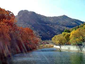 新澳天天开奖资料大全旅游团，bovle蜂巢热能塑身衣